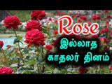 காதலர் தினம்-முடங்கும் ரோஜா ஏற்றுமதி | Krishnagiri Rose Exports Decreased- Oneindia Tamil