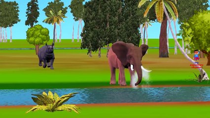 Elephant Cartoon Fighting And Singing Finger Family Nursery Rhymes For Children Colors Gor