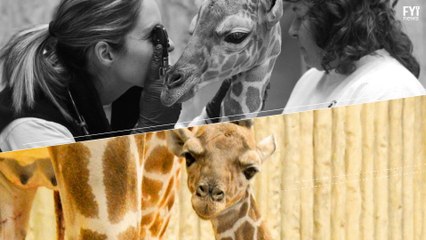 Dobby, Denver Zoo's Newest Member