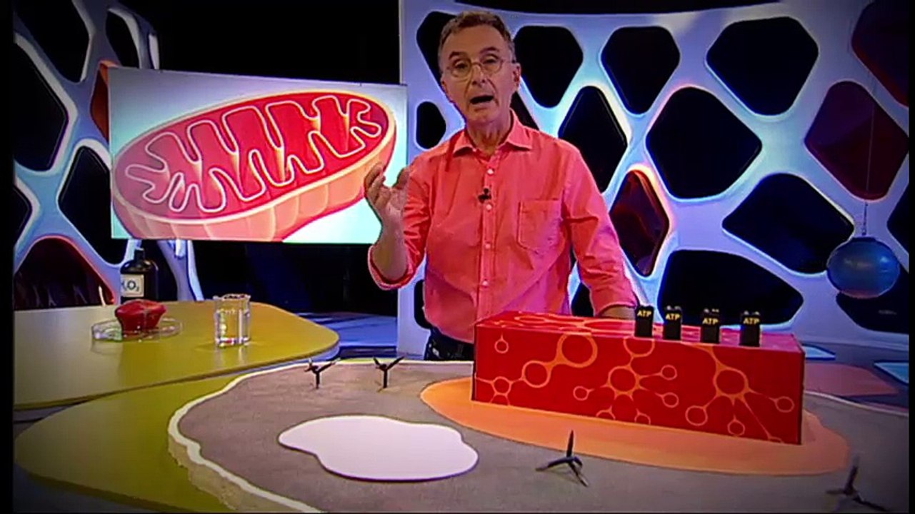 quequicom - Arribarem a centenaris?