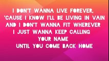 Lyrics I Dont Wanna Live Forever Taylor Swift Zayn Sam Kina Maddy Khs Cover
