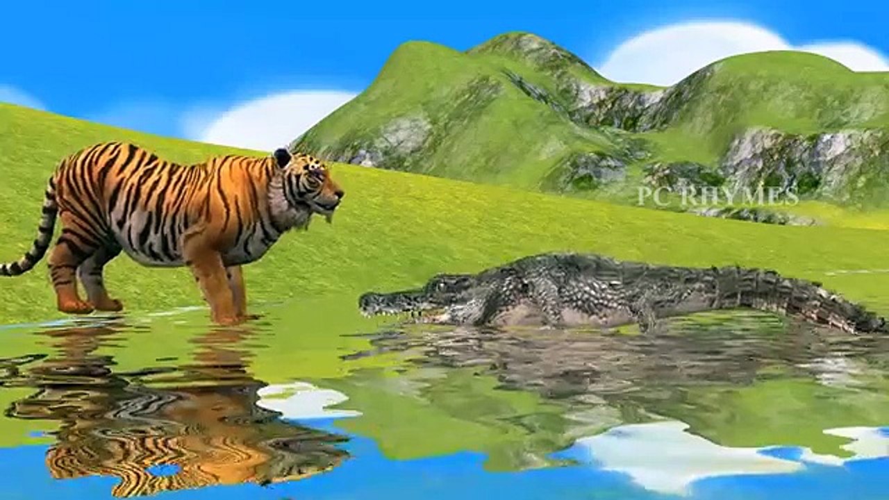 Tiger Vs Crocodile Cartoons Singing Finger Family Rhymes And More Children Nursery Rhymes