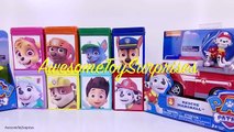 Paw Patrol DIY Cubeez Blind Box Pretend Play Toy Surprise Play-Doh Dippin Dots Learn Color