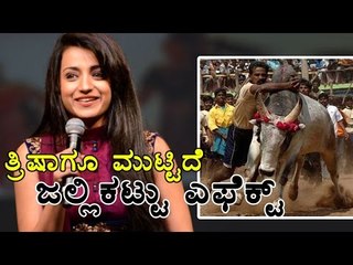 Trisha Krishna Effected By Jallikattu Game | Oneindia Kannada