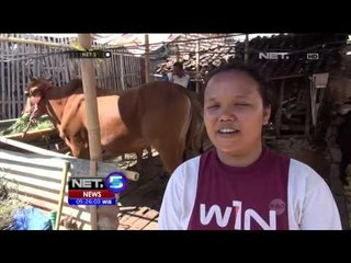 Warga di Sumenep Himbau Tidak Potong Sapi Betona - NET5