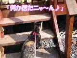 ネクストステージ中野の未来への動画No.20