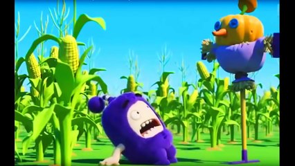 ASSEMBLY BEAUTIFUL PICTURES ODBODS