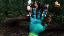 El Dedo De La Familia Pig Familia Rima De Cuarto De Niños | Los Niños De La Animación Rimas Canciones