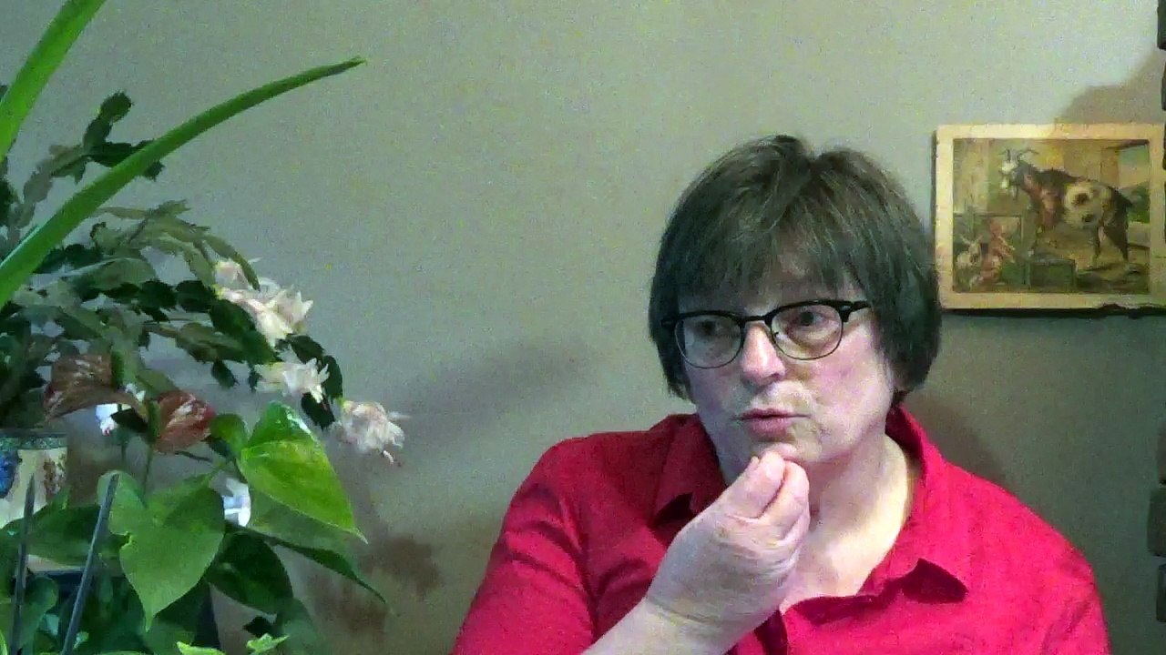 "Campagne compagne".Comme Trump, Fillon est un truand.