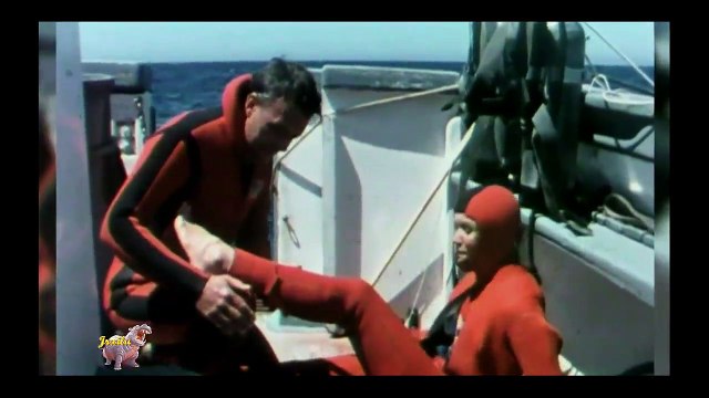 Incríveis Ataques de animais selvagens #101, Batalha de animais selvagens, Batalha animal, curiosidade animal, Animais