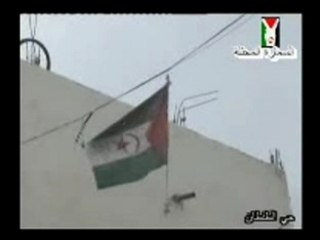 smara3(sahara libre)