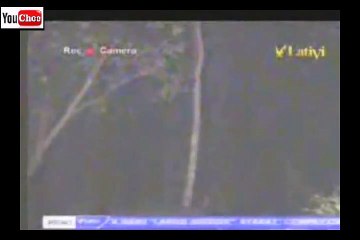 Flying Indonesian Ghost