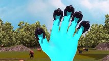3D Gorilla Animated Finger Family Rhymes For Children | Top Animated Rhymes For Children