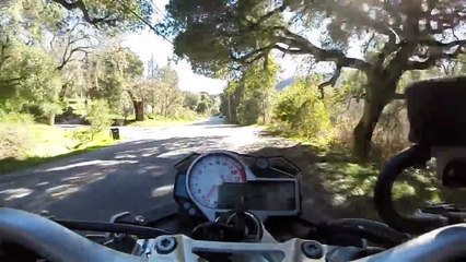 S1000R near misses deer