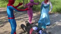 Reaper vs Spiderman vs Elsa sword battle Pinks SpiderGirl Fun Superheroes movie in real li
