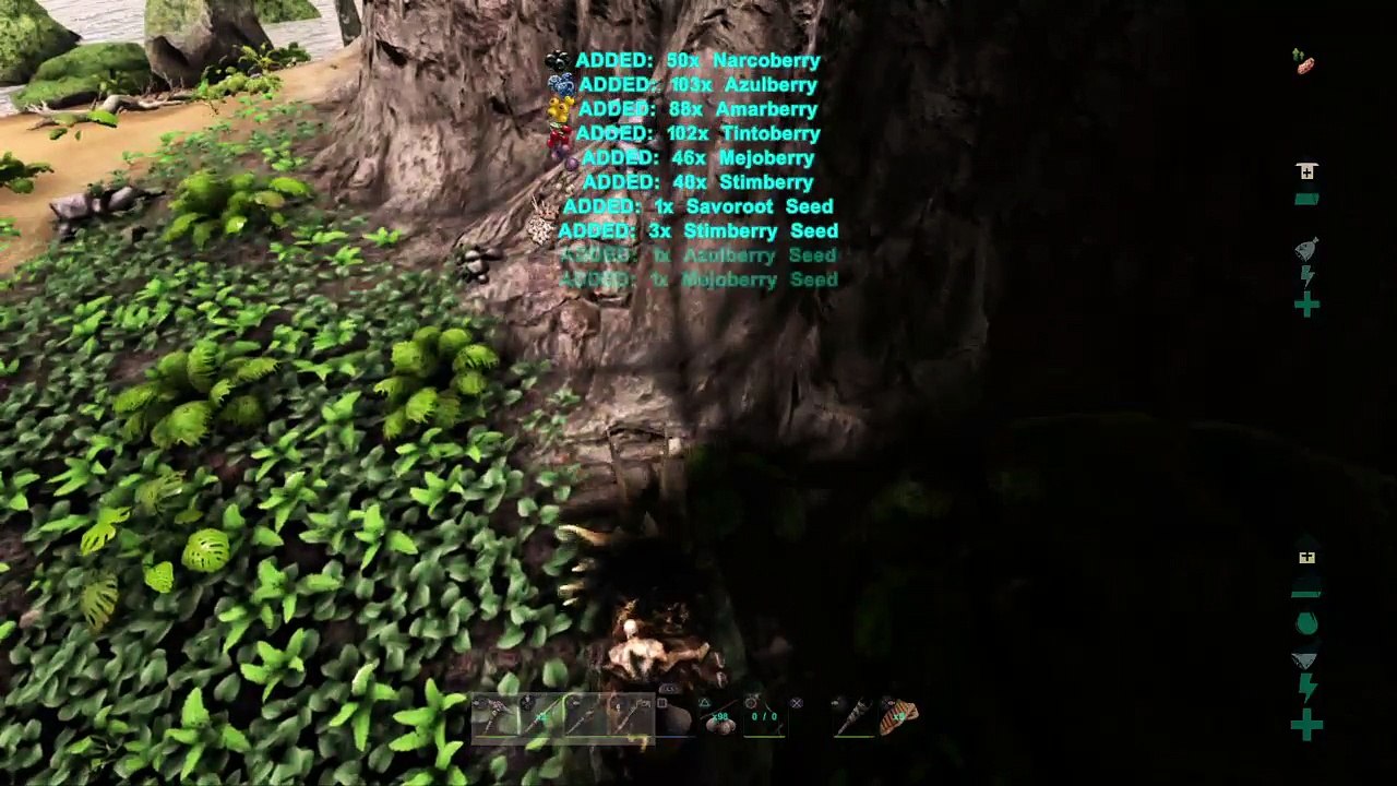ARK GOIN HAM (10)