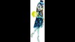 Monster High: Welcome to Monster High - Dance the Fright Away(movie scene)