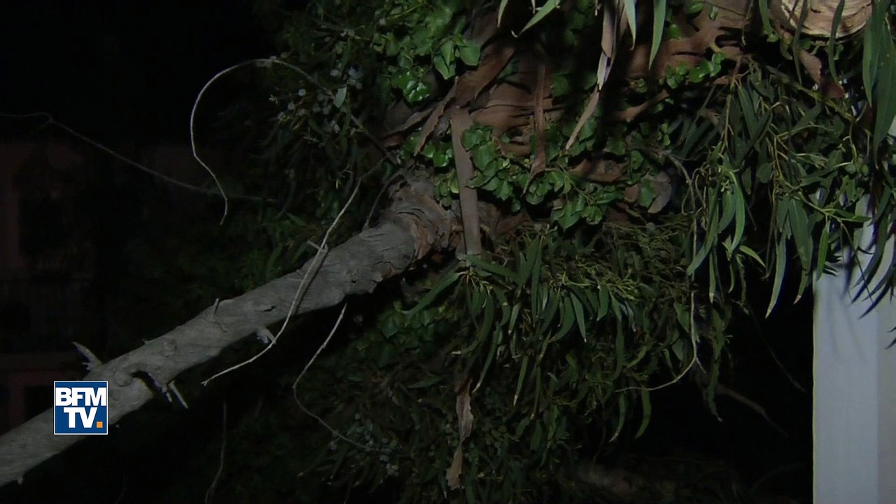 Tempête Zeus: un arbre traverse la toiture et atterrit dans une chambre