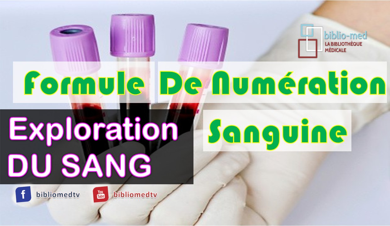 Exploration du Sang - Numération de la Formule Sanguine "NFS"
