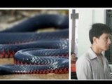 “Linh hồn” bị hại nhập vào con rắn dự phiên toà xử sát nhân?