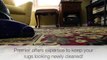 Get Oriental Rug Cleaning Services in Indianapolis