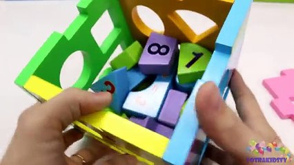 Learning Colors Shapes & Sizes with Wooden Box Toys fbgvnmhg
