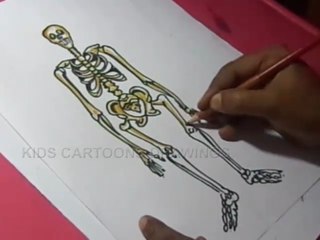 How to draw Human skeleton Drawing
