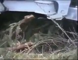 World most Amazing Videos -  Amazing tree cutting machine