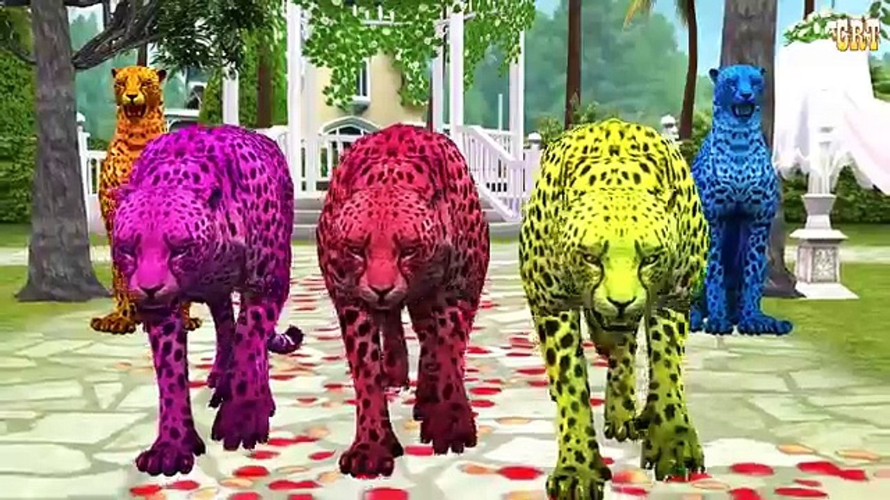 Jungle Song | Animal Songs | Animal Sounds For Kids | Popular Nursery Rhymes Collection