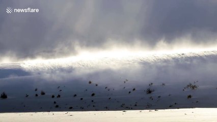 Strong winds turn hill into 'snow wave'