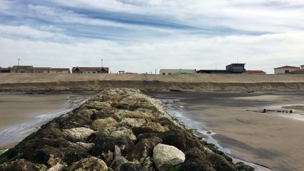 Gironde : érosion du trait de côte à Montalivet