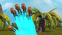 Lion,Tiger,Cheetah Finger Family 3d animals animated English rhymes Collection 2 hours vid