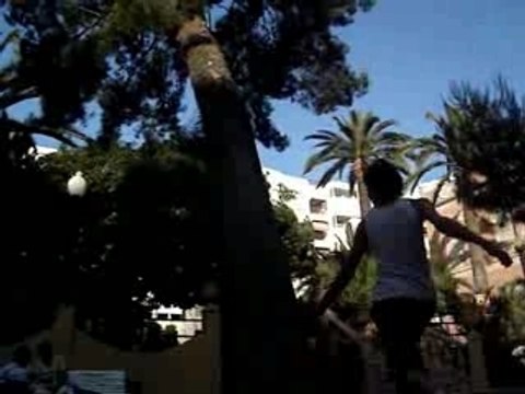 PUCHE Y PANCHO TRACEURS