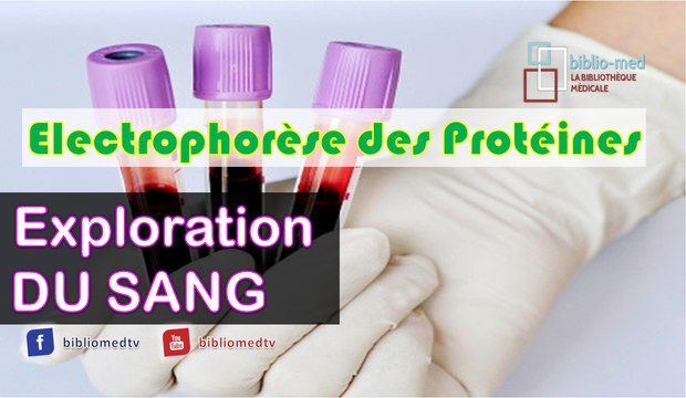 Exploration du Sang - Électrophorèse des Protéines EPP