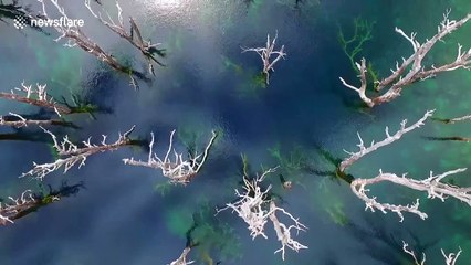 Drone footage captures the beauty of Chile