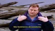 Sem título