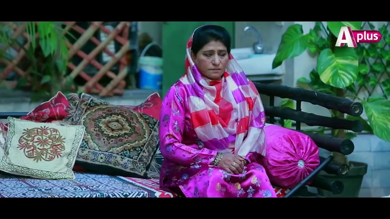 Bhai - Episode 5 - A Plus