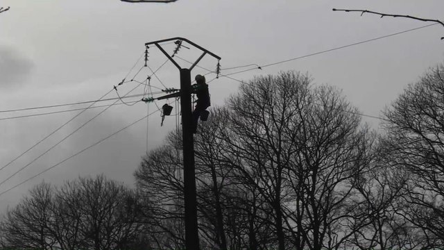 Tempête en Bretagne: chutes d'arbres et coupures d'électricité