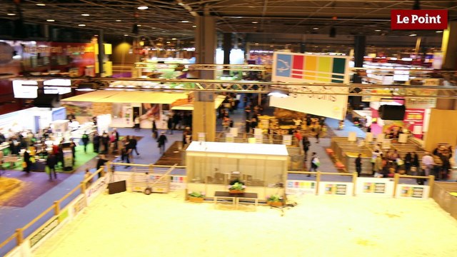 Catherine Laborde : C'est pas toujours évident d'être carnivore