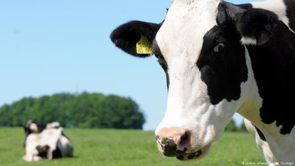 A agricultura e pecuária 4.0