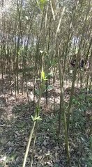 Do Not Disturb Me Pleases