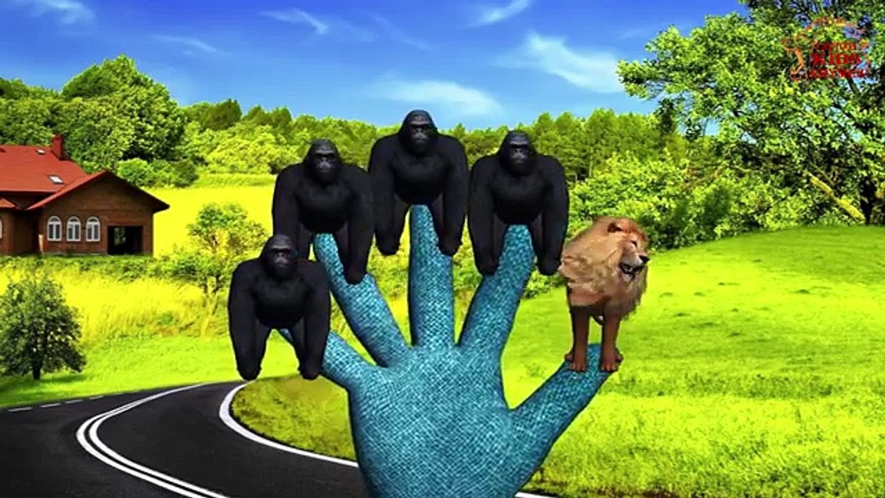 Owl Finger Family | 3D Animation | English Nursery Rhymes | Animals Finger Family