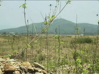 মিয়ানমারে বিদ্রোহীদের হামলায় ৫ পুলিশসহ ৩০ জন নিহত