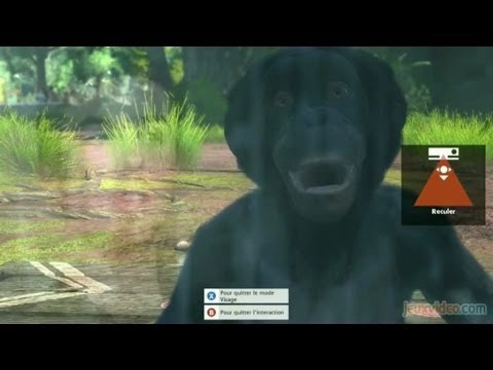 Gaming live Zoo Tycoon - Zoo Tycoon X Kinectima...