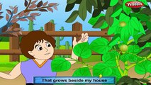 Figs Rhyme | Fruit Rhymes for Children | Nursery Rhymes for Kids | Most Popular Rhymes HD