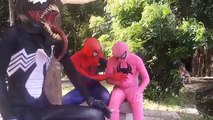 King Spiderman rescue Frozen Elsa escape Catwomen Fun Joker vs Superheroes movie in real l