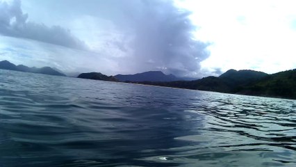4k, 2,7k, ultra hd, passeio de barco, Apneia contemplativa, Ubatuba, Natureza Sub, Ubatuba, SP, Brasil, aos mares com carinho, costões rochosos, cavernas submarinas, Marcelo Ambrogi,  (37)