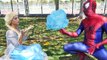 Jack Frost hombre araña Love Frozen Elsa Spiderman Webs vs ice Power Superhero Fun in Real