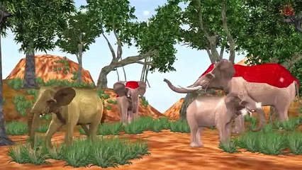 Dragon Cartoons For Nursery Rhymes - Animal Collection For Cartoon Kids Rhymes