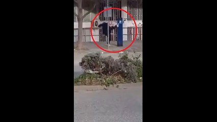 Man fights with a parking machine (for reasons unknown)
